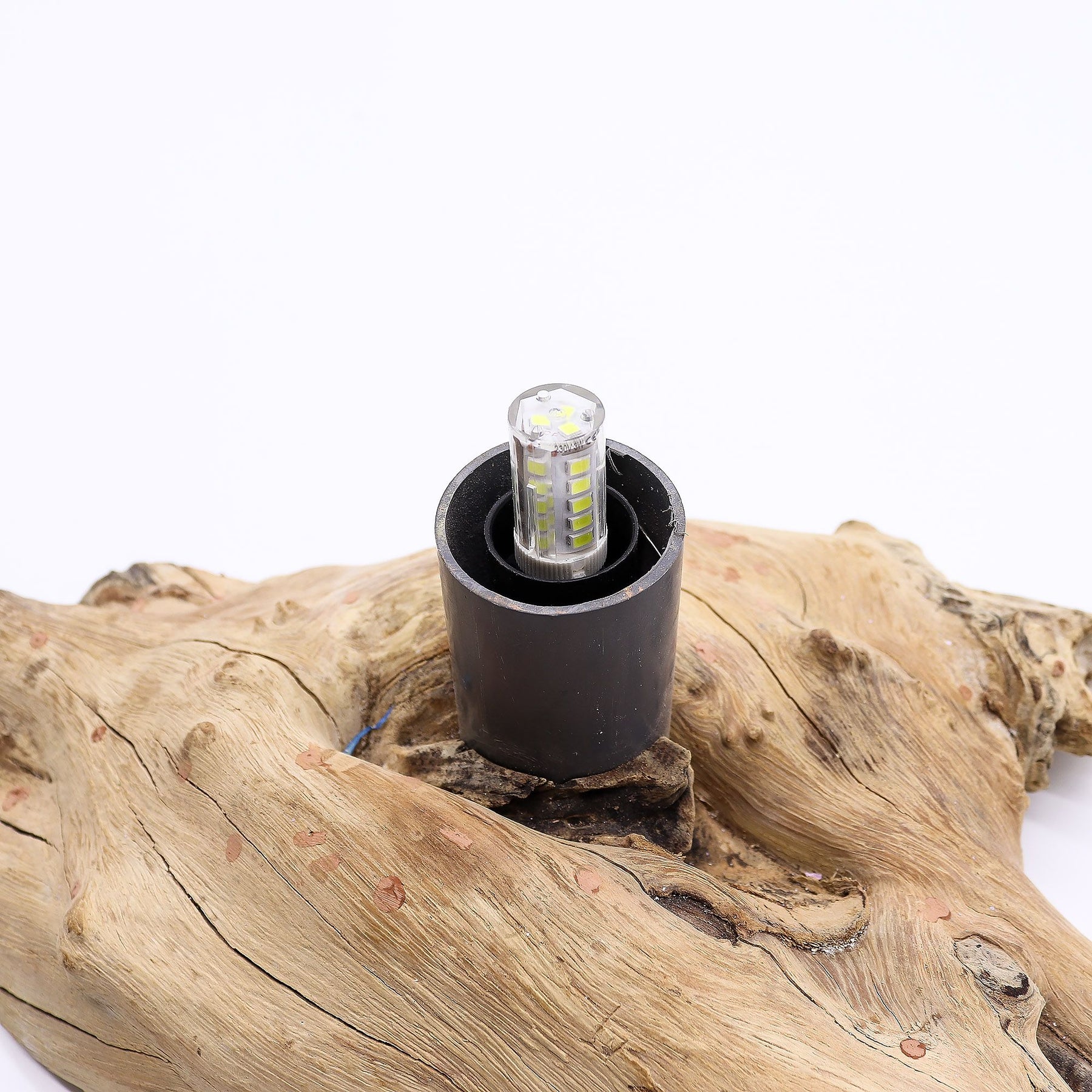 LED light bulb in a black holder on a piece of driftwood