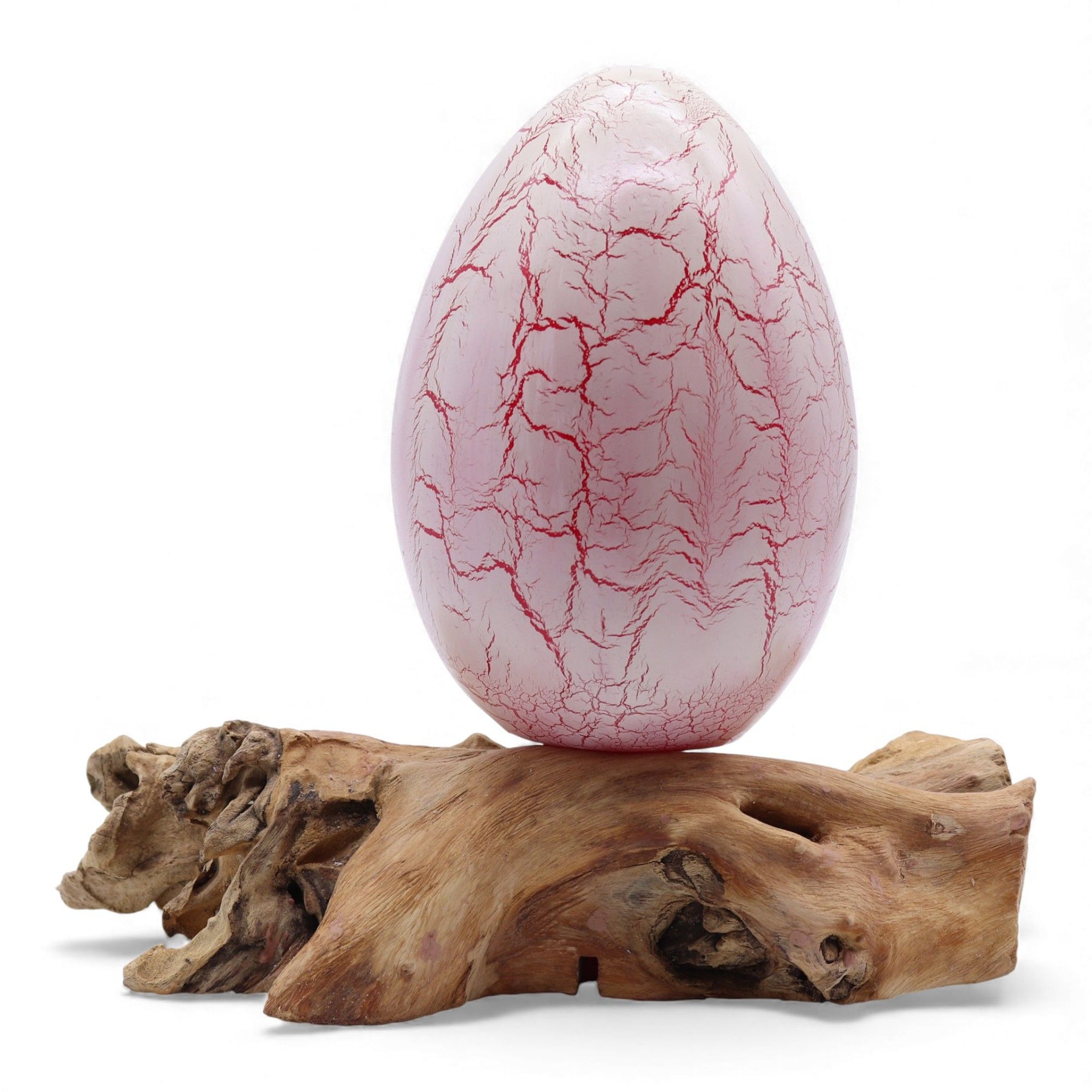 Vivid orange crackle egg shade glowing like molten fire atop twisted driftwood base