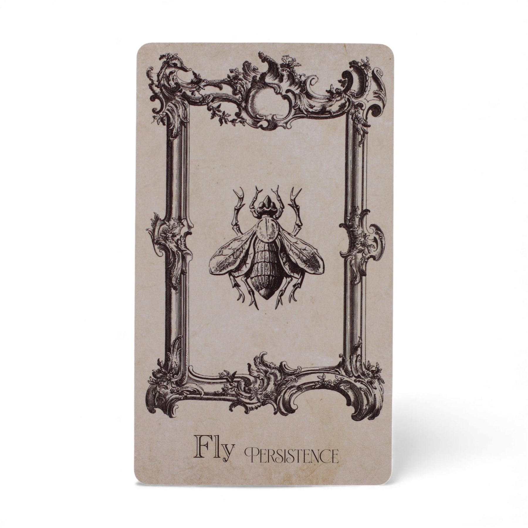 40-card Spellbook Oracle Deck fanned out showing monochrome sigils, creatures & artefacts, in illustrated compact box