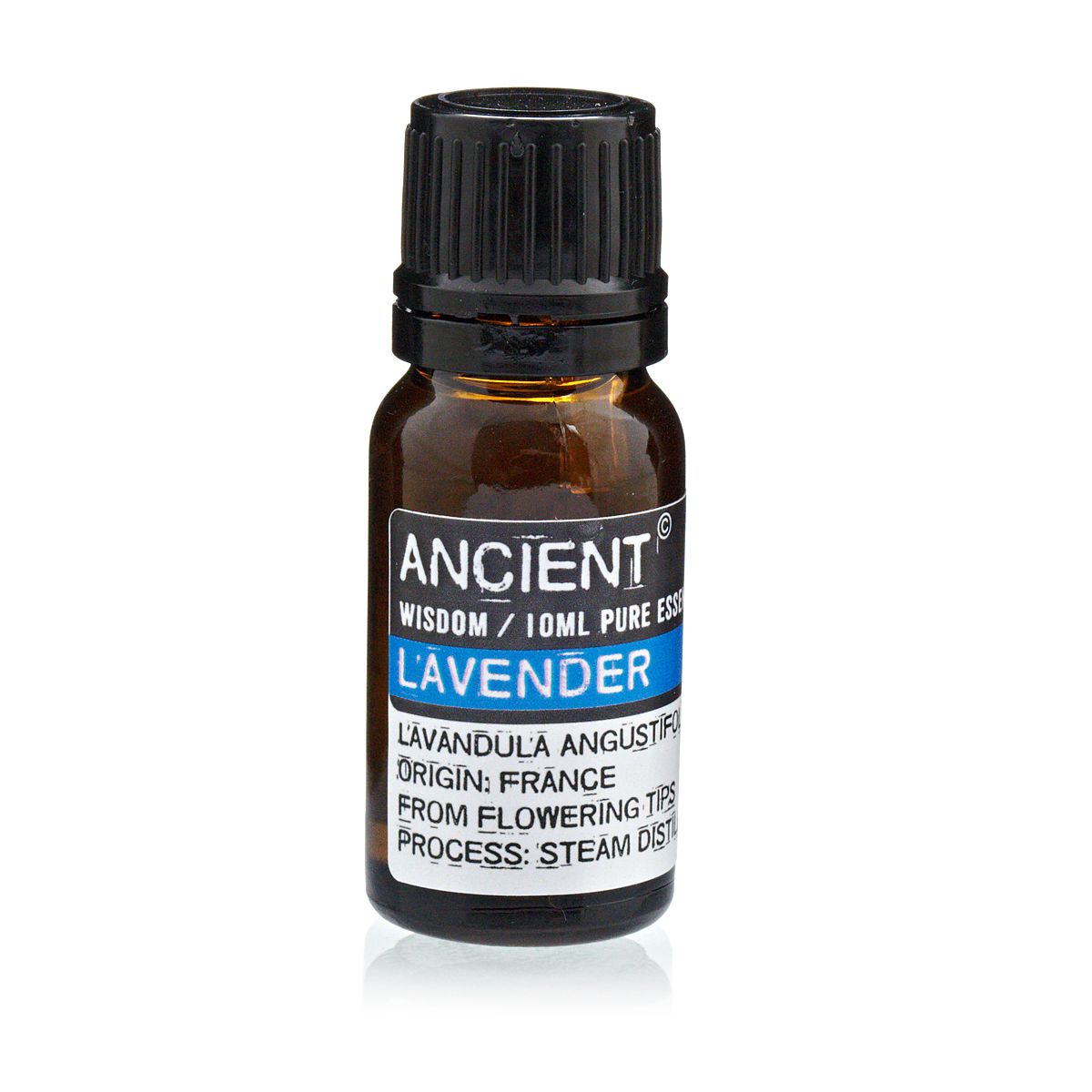10ml amber glass bottle of pure Lavender Essential Oil with black dropper cap, fresh lavender sprigs