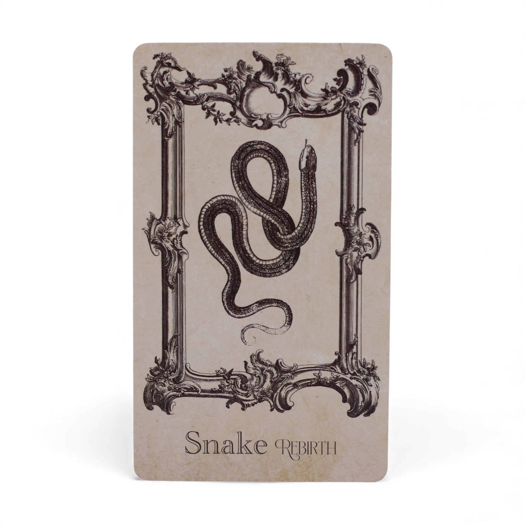 40-card Spellbook Oracle Deck fanned out showing monochrome sigils, creatures & artefacts, in illustrated compact box