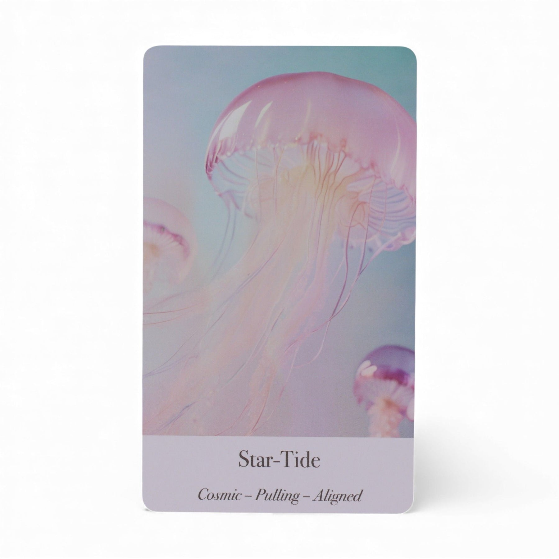 Card with a jellyfish design and 'Star-Tide'