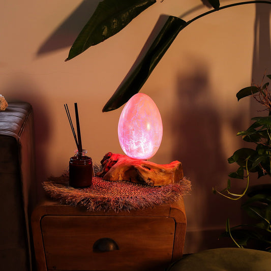 Vivid orange crackle egg shade glowing like molten fire atop twisted driftwood base