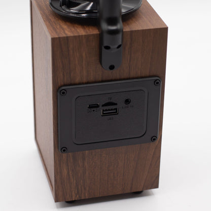 Detail of wood-effect cabinet, brass-style accents and input ports (USB, TF card, AUX)