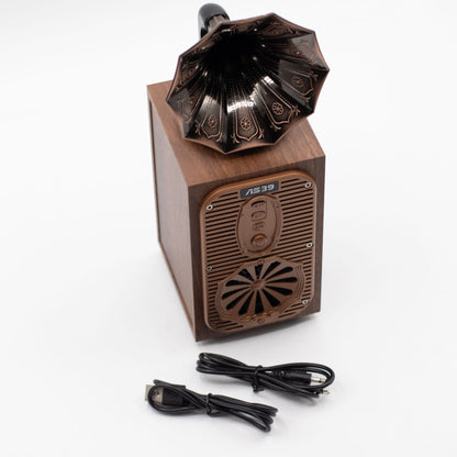 Detail of wood-effect cabinet, brass-style accents and input ports (USB, TF card, AUX)