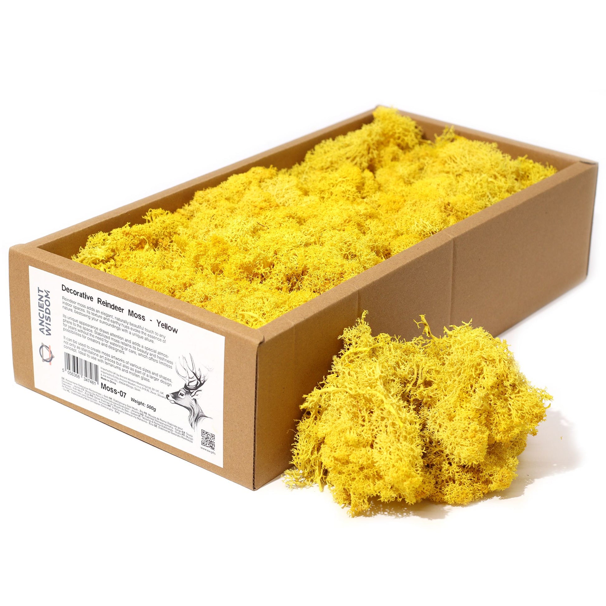 Different colour shades of reindeer moss displayed side by side, highlighting creative possibilities for designers