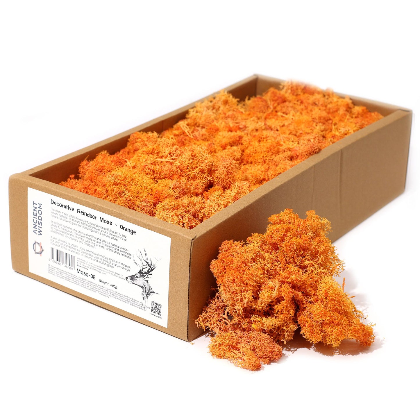 Orange reindeer moss displayed side by side, highlighting creative possibilities for designers