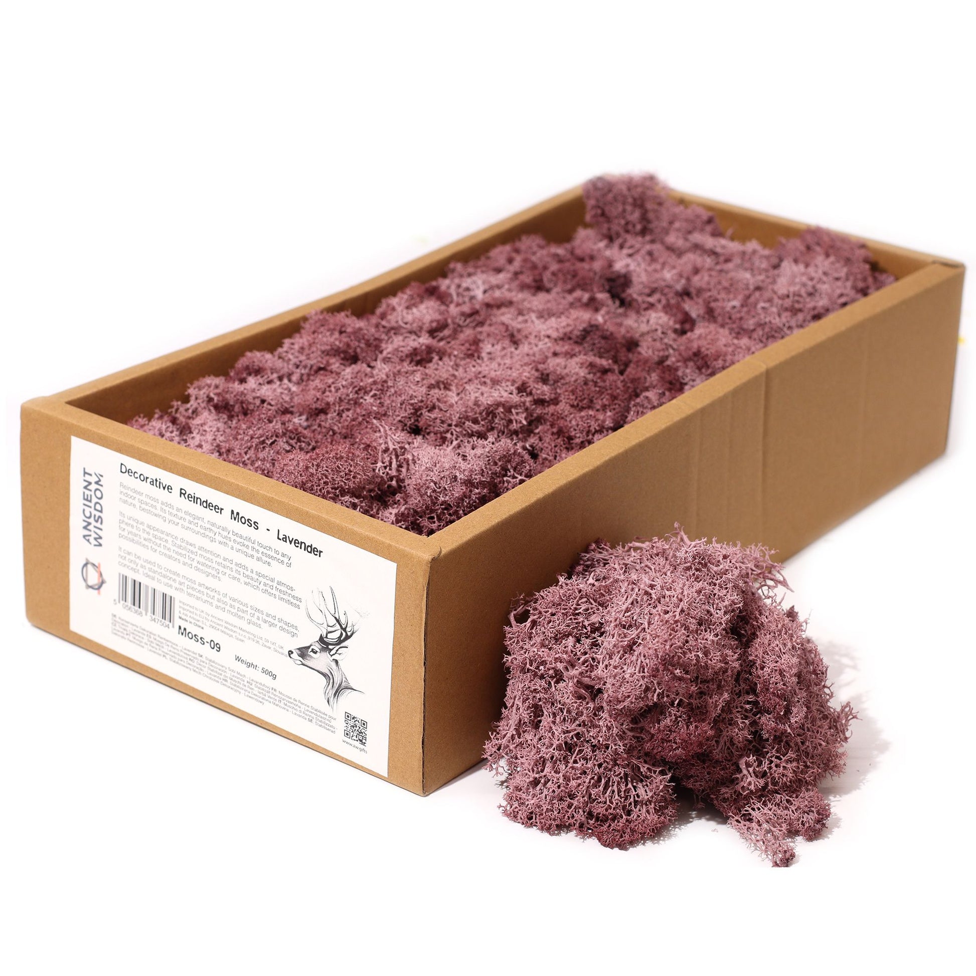 Lavender reindeer moss displayed side by side, highlighting creative possibilities for designers