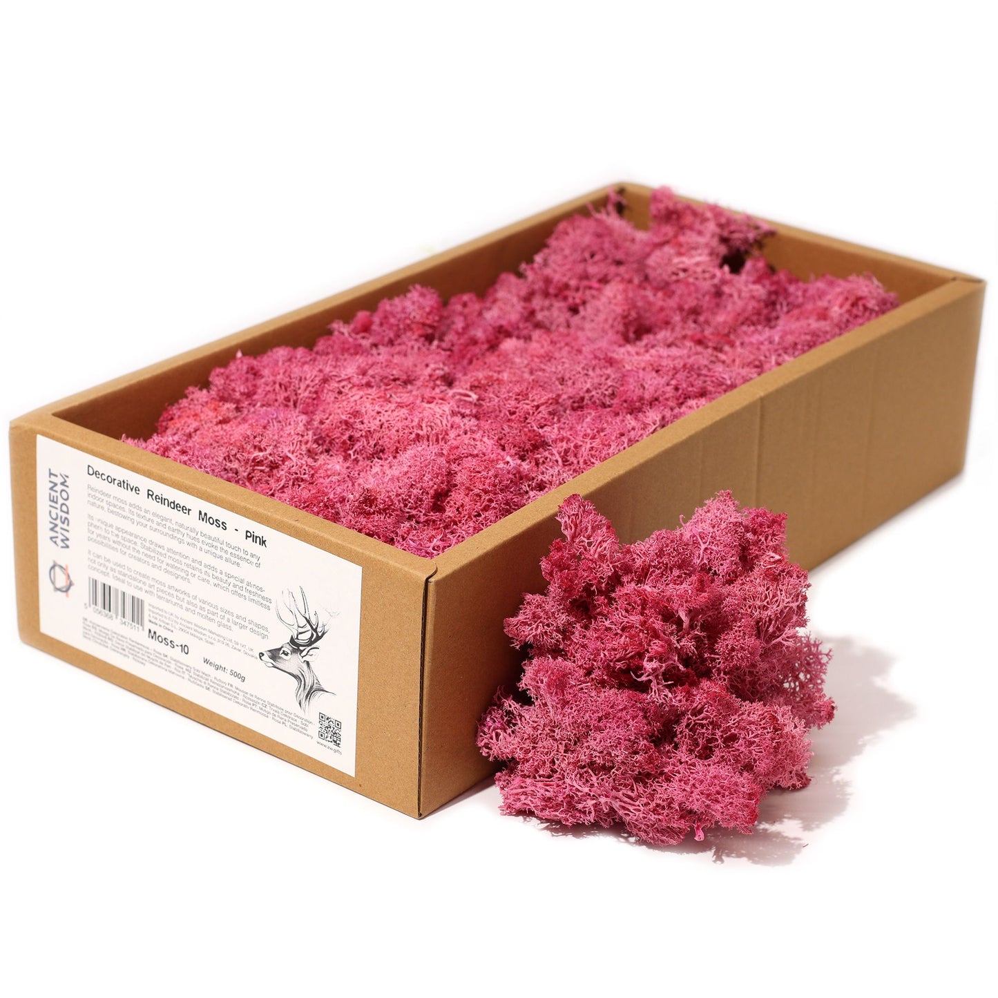 Different colour shades of reindeer moss displayed side by side, highlighting creative possibilities for designers
