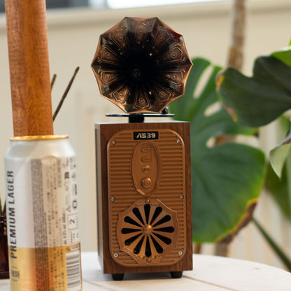 Speaker placed on living room shelf, demonstrating decorative presence and room-filling sound