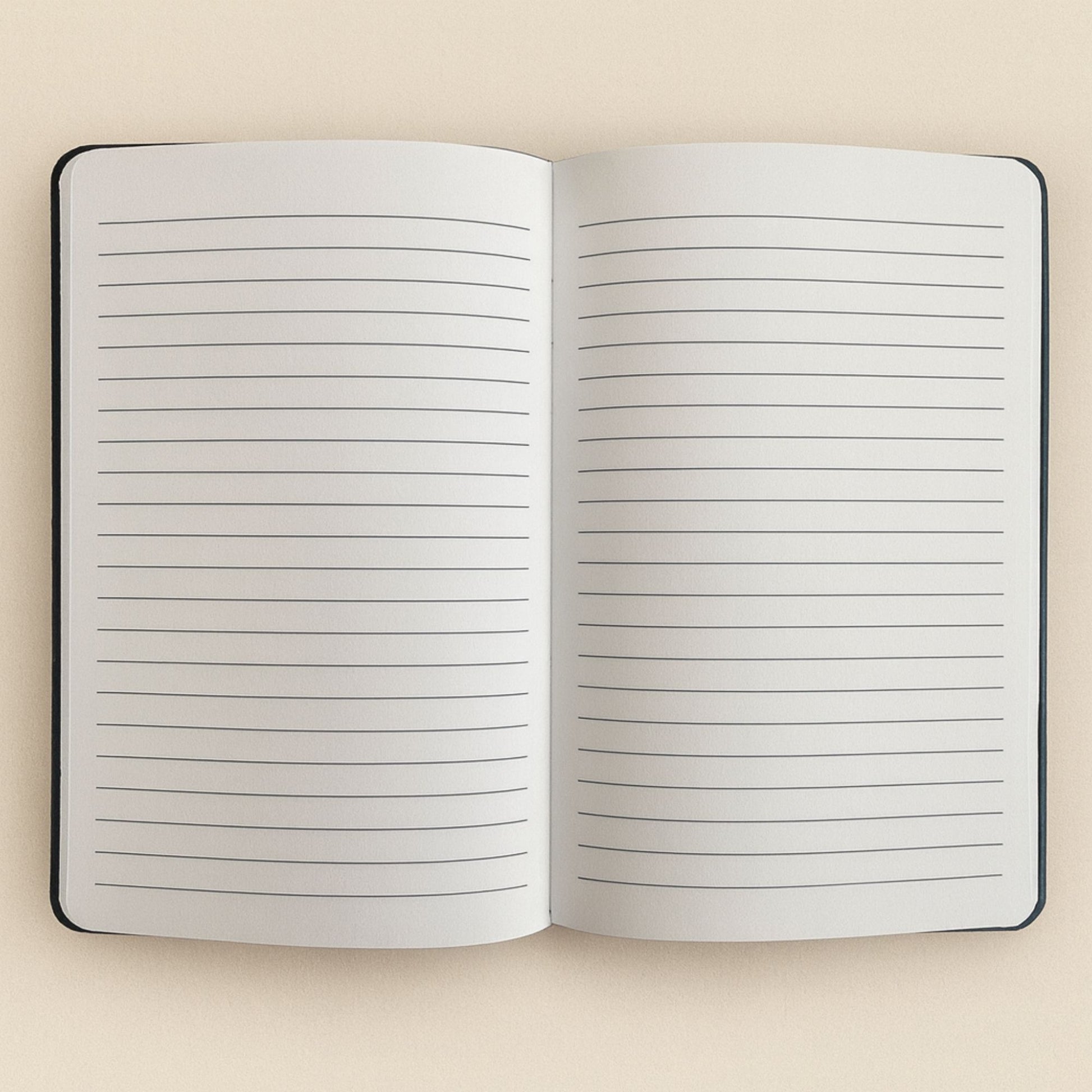 Plush black velvet notebook with shimmering silver “Carpe Diem” script