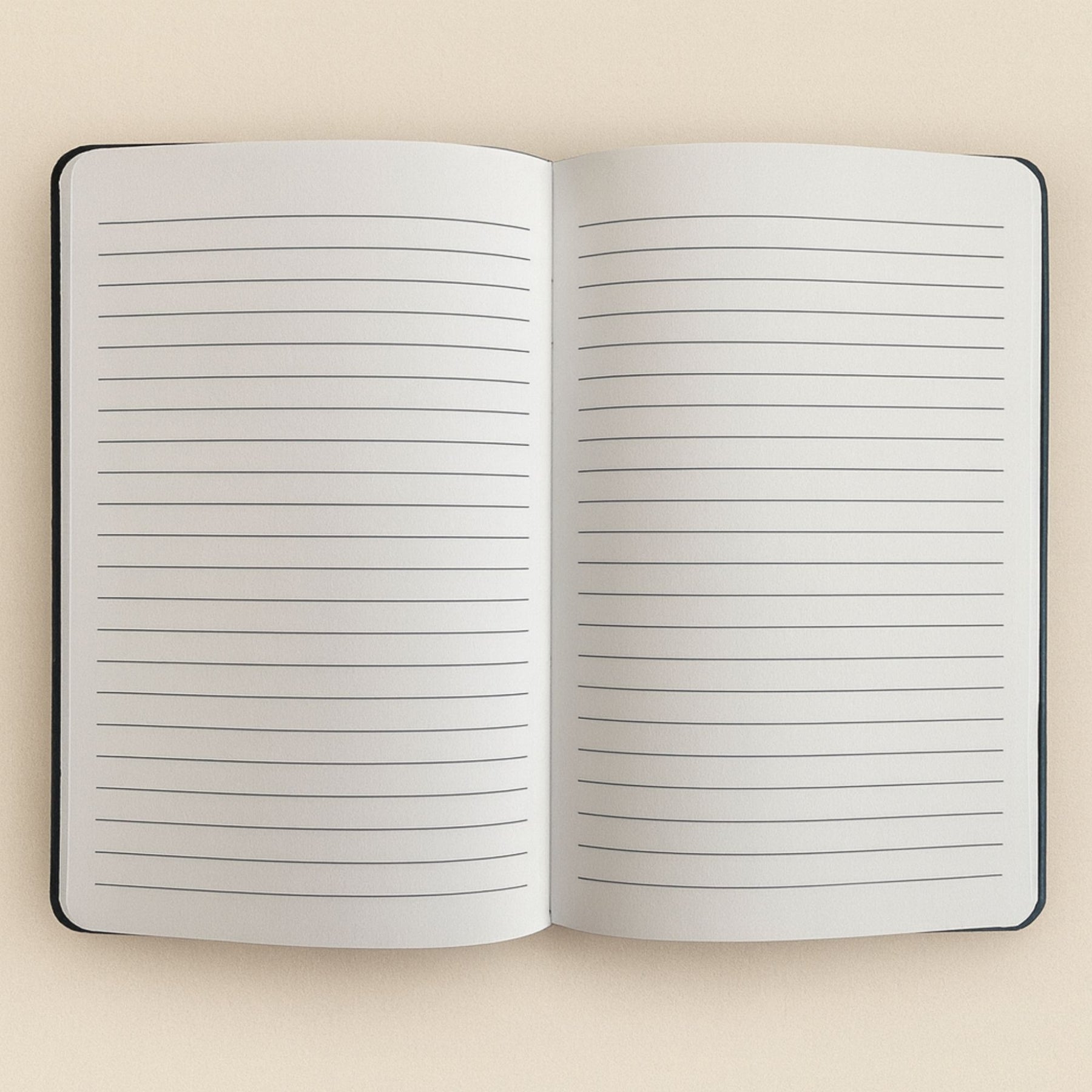 Plush black velvet notebook with shimmering silver “Carpe Diem” script