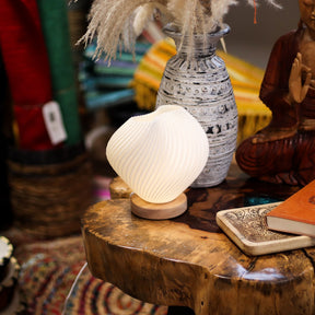 Decorative Shell Twisted New Wave USB lamp with textured honeycomb surface and elegant twisted shell-inspired shape, warm glow on 3rd brightness setting, placed on wooden base on a wooden surface with a vase and statue in the background
