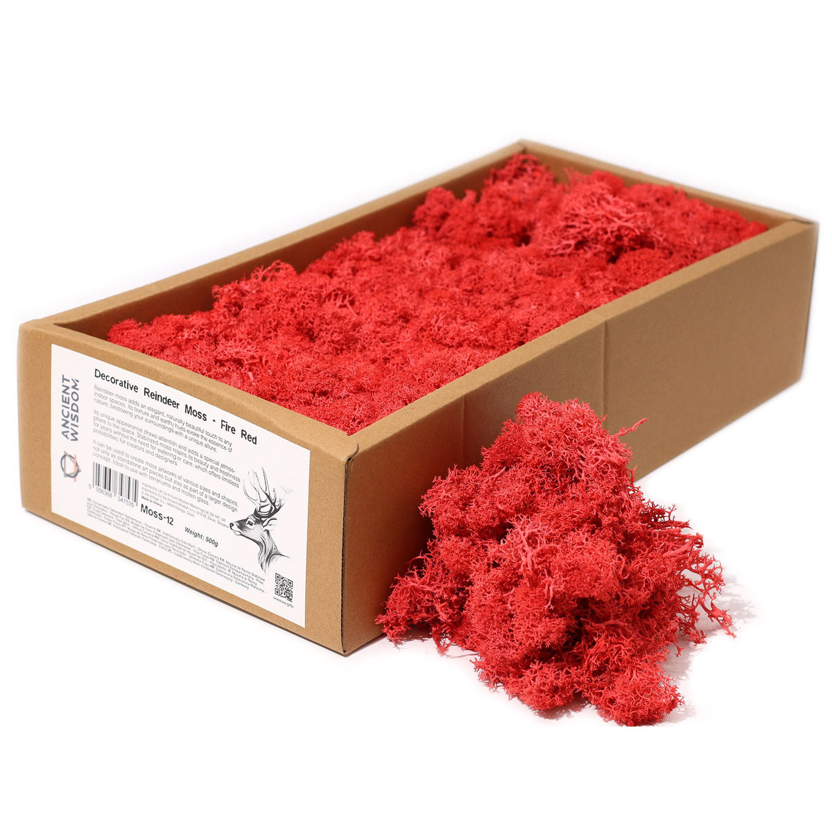 Box of red reindeer moss with a piece spilled out on a white background