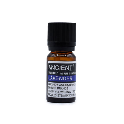 10ml amber glass bottle of pure Lavender Essential Oil with black dropper cap, fresh lavender sprigs