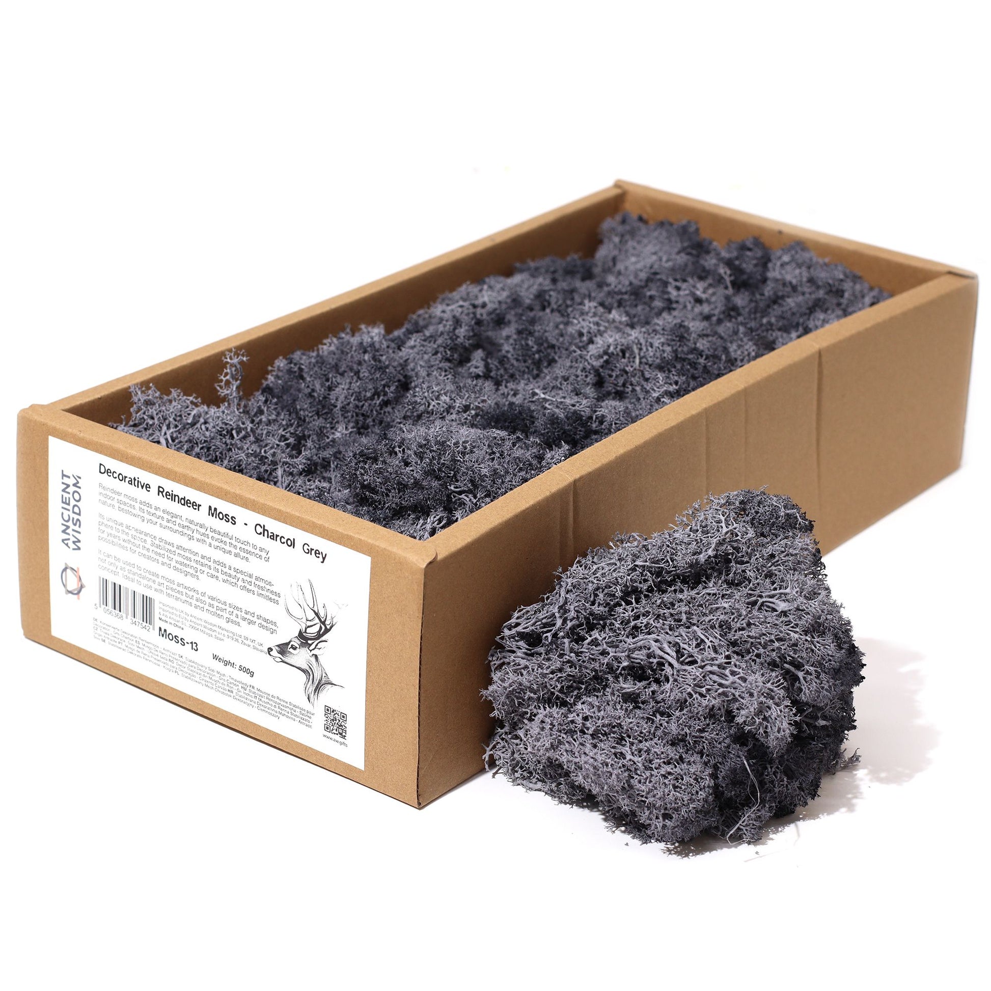 Different colour shades of reindeer moss displayed side by side, highlighting creative possibilities for designers