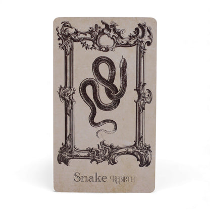 40-card Spellbook Oracle Deck fanned out showing monochrome sigils, creatures & artefacts, in illustrated compact box