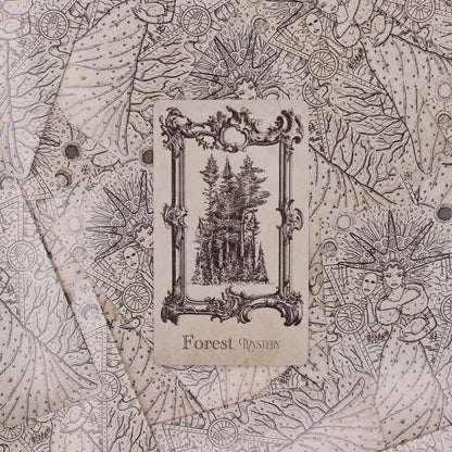 40-card Spellbook Oracle Deck fanned out showing monochrome sigils, creatures & artefacts, in illustrated compact box