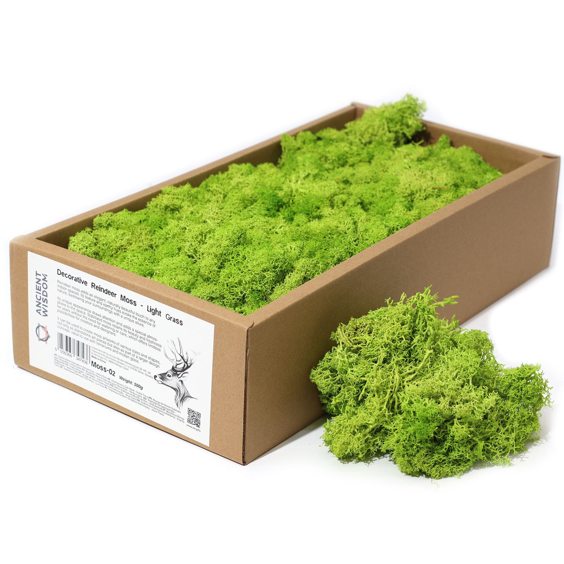 Different colour shades of reindeer moss displayed side by side, highlighting creative possibilities for designers