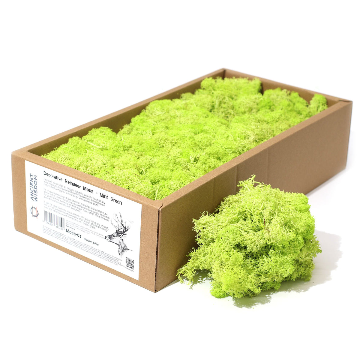 Green reindeer moss displayed side by side, highlighting creative possibilities for designers