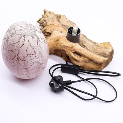 Vivid orange crackle egg shade glowing like molten fire atop twisted driftwood base