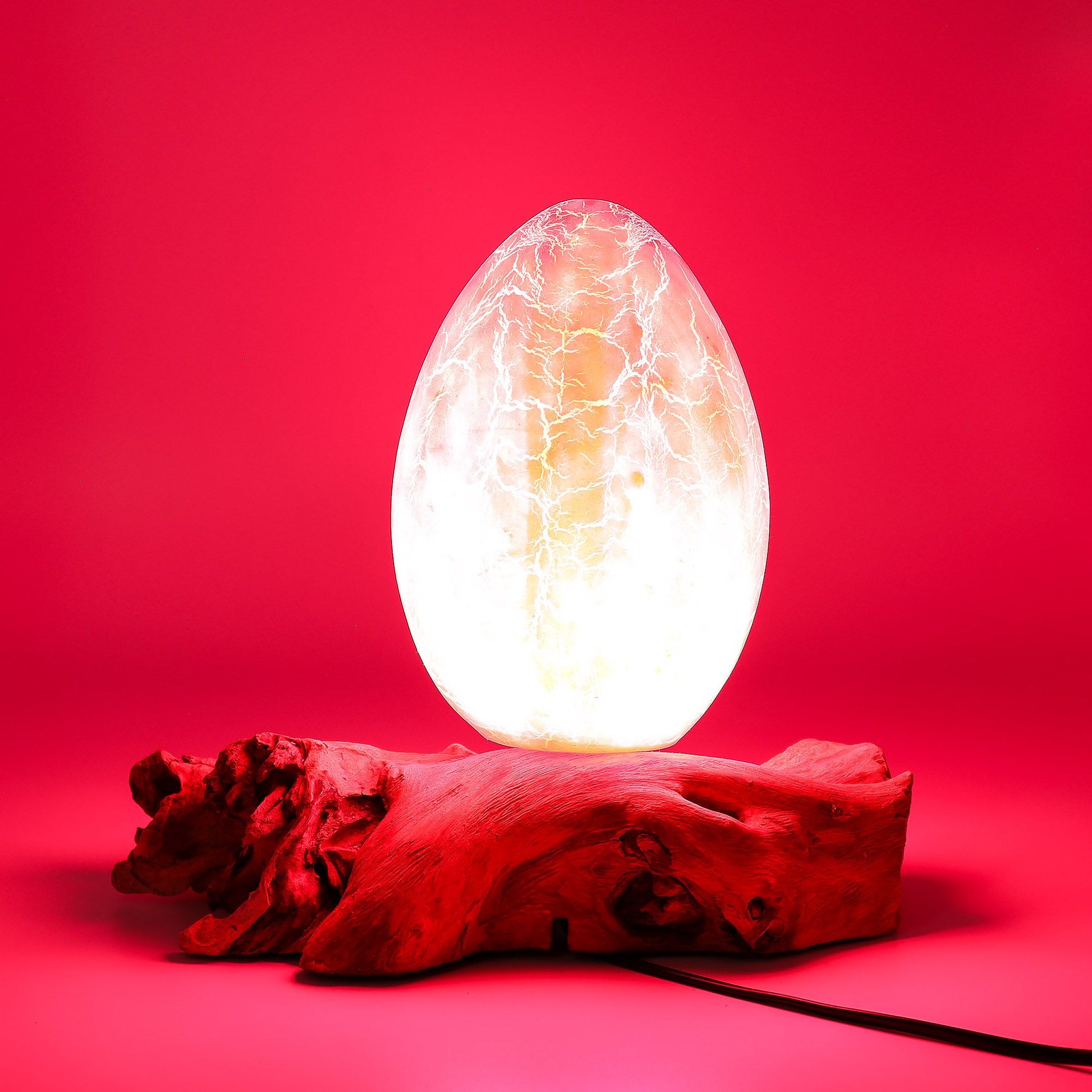 Vivid orange crackle egg shade glowing like molten fire atop twisted driftwood base