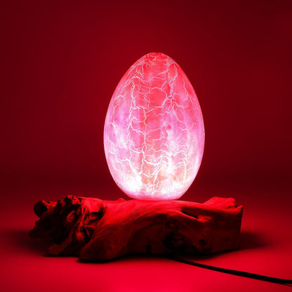 Vivid orange crackle egg shade glowing like molten fire atop twisted driftwood base