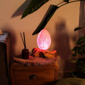 Vivid orange crackle egg shade glowing like molten fire atop twisted driftwood base